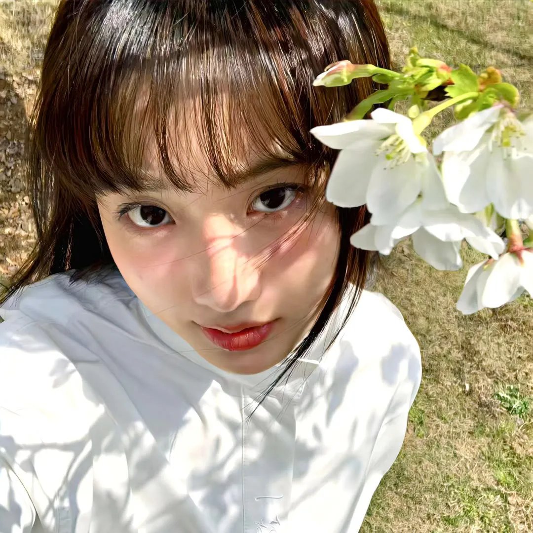大八卦